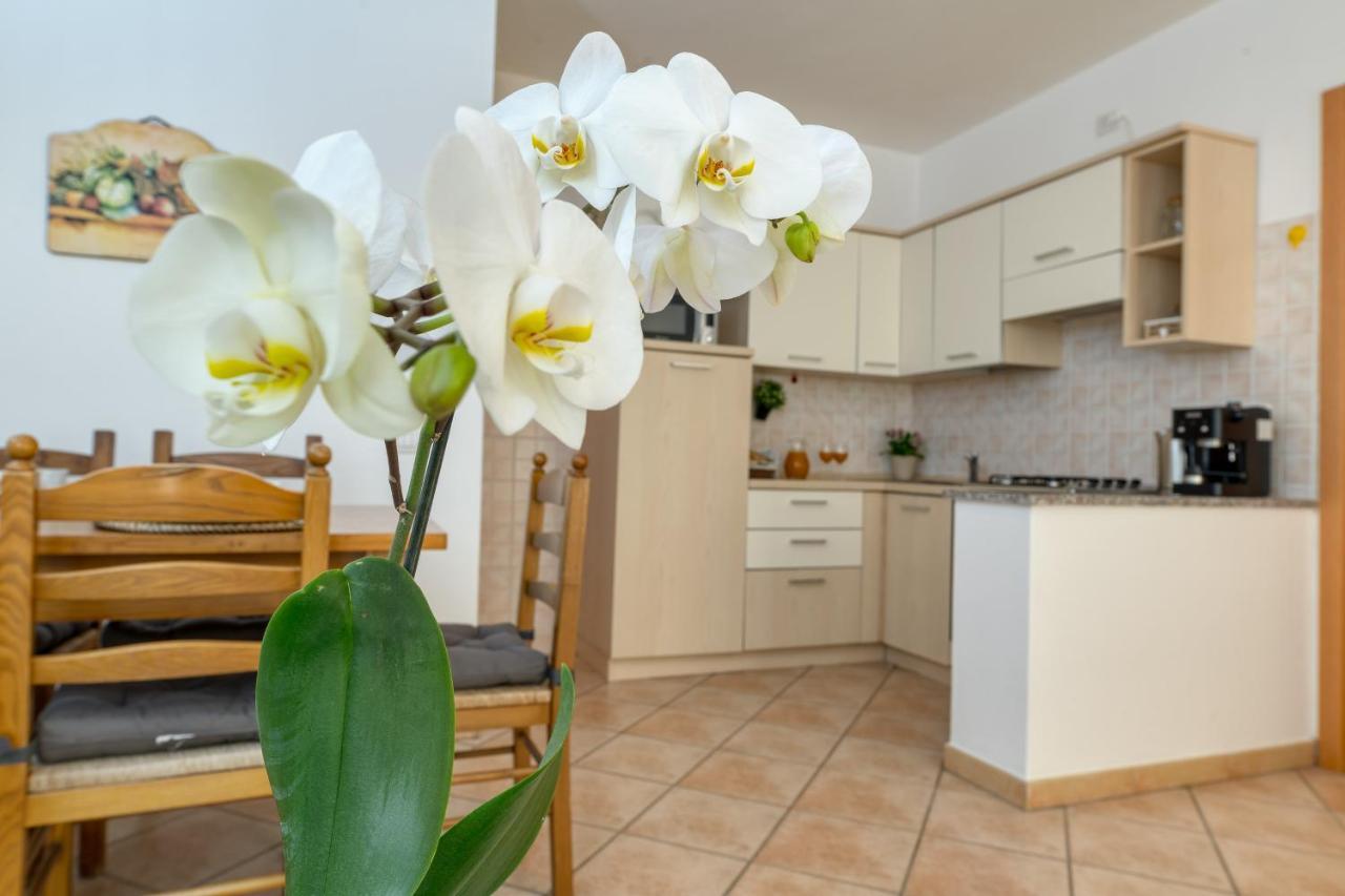 Izzhome Everyway Pula Exterior foto